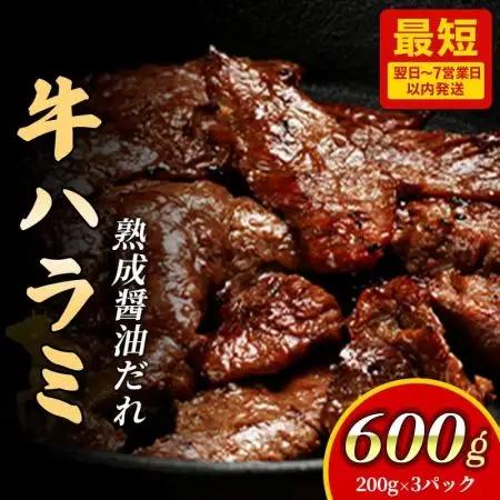 ハラミ 旨みたっぷり牛ハラミ 600g D0500