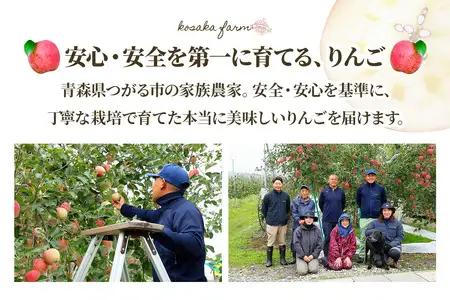 完熟！りんご 葉とらずサンふじ 10kg [1088] | 青森 つがる