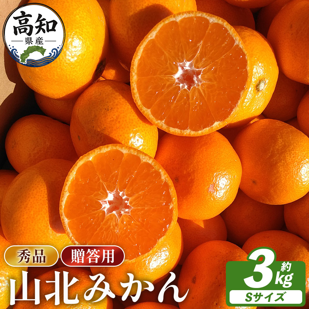 【贈答用】山北みかんSサイズ限定 3.0kg - 秀品 山北みかん みかん 蜜柑 ミカン 果物 くだもの フルーツ プレゼント ギフト mikan 温州みかん ふるさと納税みかん 国産 高知県産 さくら青果店 高知県 香南市 sq-0005
