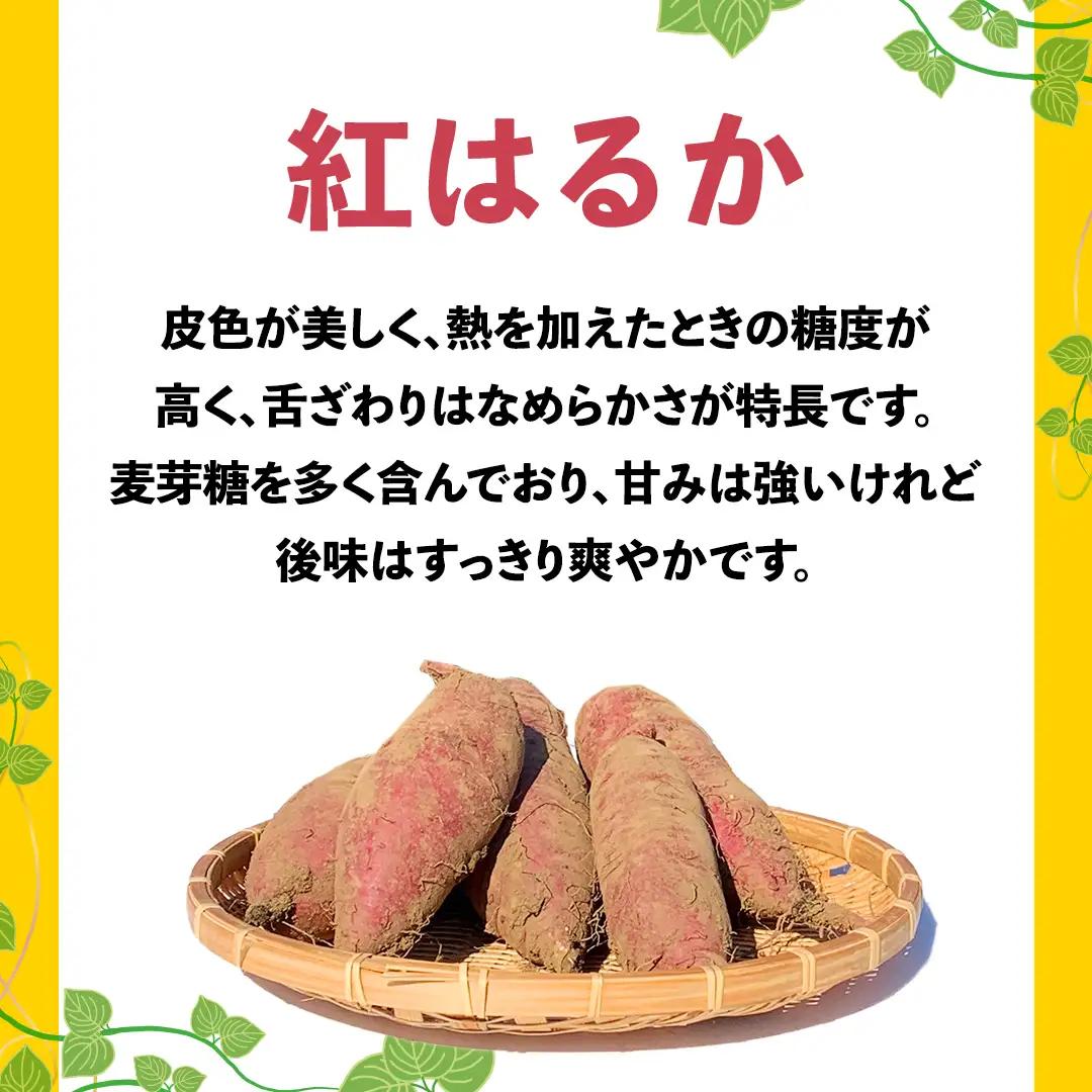 さつまいも 紅はるか 約5kg 訳あり サツマイモ