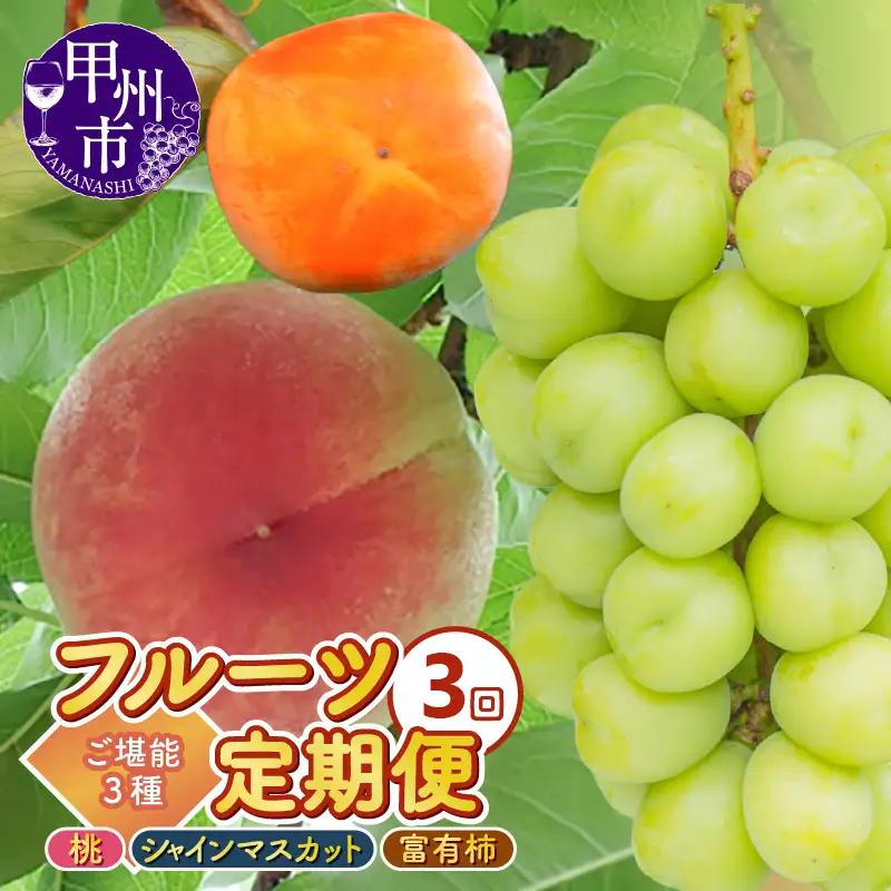 【定期便】3回フルーツ定期 桃約2.0kg（5～8玉）シャインマスカット約1.0kg（2房）富有柿約2.5kg（9～12個）ご堪能3種セット【2026年発送】（KKK）C8-830 桃 シャインマスカット フルーツ