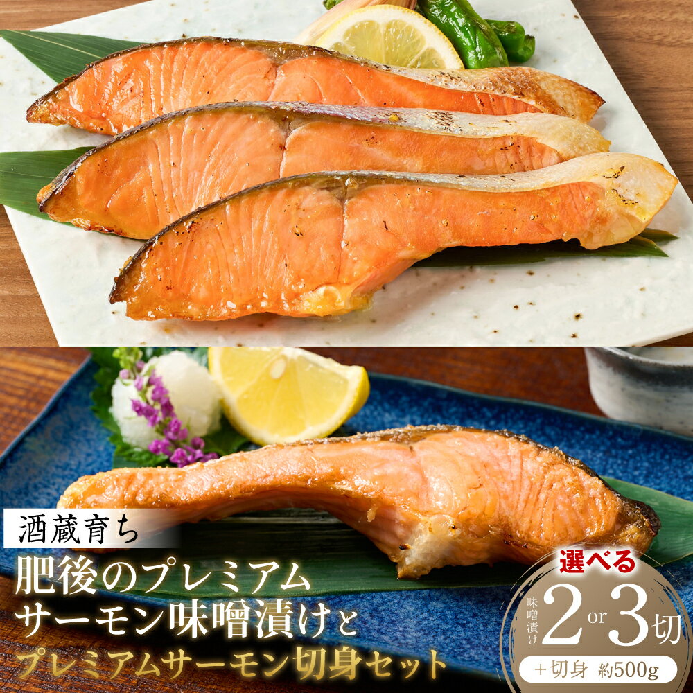 【ふるさと納税】酒蔵育ち 肥後のプレミアムサーモン 味噌漬け 2切～3切×1パック と プレミアムサーモン切身 約500g セット 【選べる内容量】 サーモントラウト 銀鮭 味噌漬け 赤酒 切身 切り身 和食 魚 おかず 熊本県 八代市 送料無料