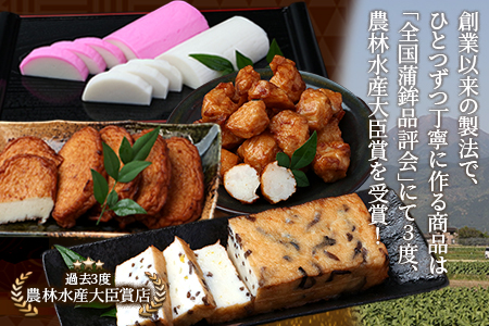 農林水産大臣賞 受賞 蒲鉾店 さつまあげ 8種 詰め合わせセット 真空パック 102-0001