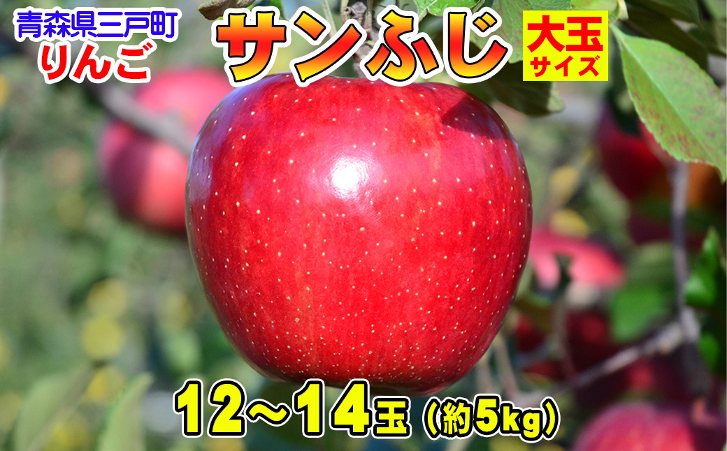 
            りんご【サンふじ】大玉サイズ 12～14玉（約5kg）【2024年産・先行予約】
          