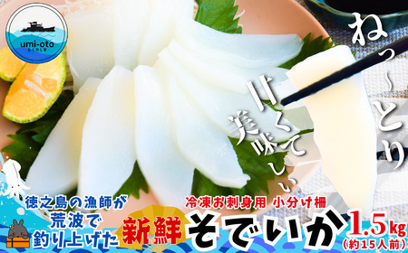 徳之島の漁師が荒波で釣り上げたそでいか 冷凍お刺身用小分け柵 1.5kg（約15人前） （ ソデイカ いか イカ 大型のいか 回遊 お刺身 甘い ねっとり 冷凍 新鮮 お寿司 料理 徳之島 奄美 沖縄 鹿児島 海鮮 umi-otoとくのしま ）