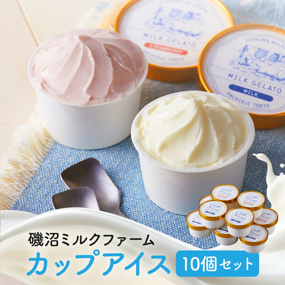 【ふるさと納税】磯沼ミルクファーム　カップアイス10個セット（2種各5個）
