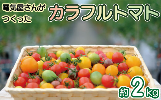 トマト ミディ ＆ ミニトマト 2kg 小分け 250g×8袋 カラフルトマト 2024年 11月～ 発送予定 野菜 やさい 果物 スイーツ ジュース トマトジュース パスタ スパゲティー ソース サラダ ドレッシング サンドイッチ ハンバーガー ピザ カレー 四電工 徳島県 吉野川市