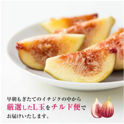 ふるさと納税 うきは市 【2026年8月上旬-9月下旬発送予定】吉瀬森果園 イチジク(とよみつひめ)L玉 12個入り |  | 01
