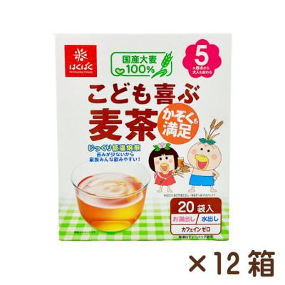 ふるさと納税 中央市 【はくばく】こども喜ぶ麦茶　20P×12