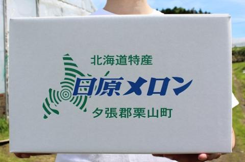 極上の一品「日原メロン」1玉×2品種定期便