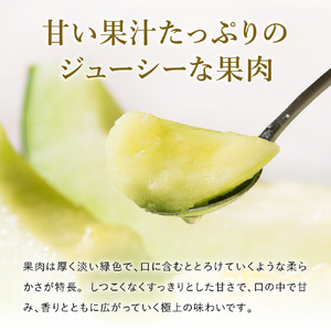 【年中発送！】感動メロン「いちかわ優香」1玉　010HS02N.　／ 果物 フルーツ メロン お取り寄せ 旬 水耕栽培