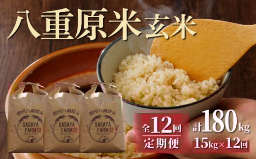 令和7年新米予約【12回定期便】八重原米15kg（5kg×3袋）玄米　※2025年10月以降順次発送｜笹屋農園