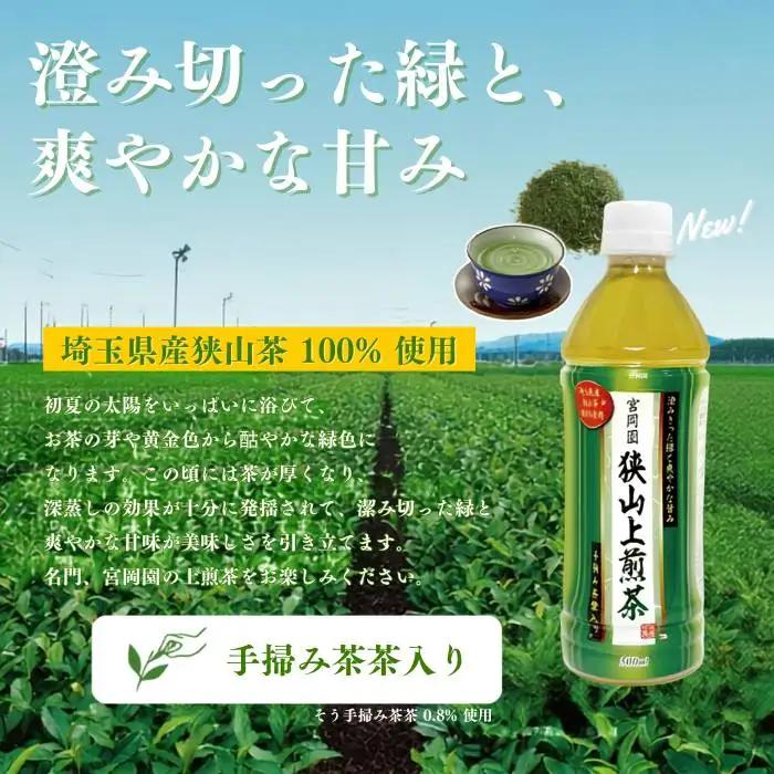 【定期便3か月】狭山上煎茶 ペットボトル 500ml 24本 1ケース