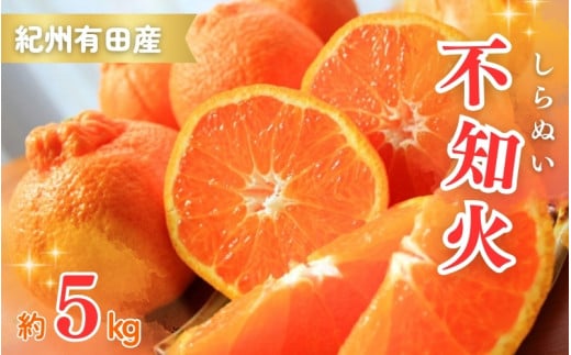 紀州有田産不知火(しらぬひ) 約5kg ＜2026年2月中旬頃〜2026年3月中旬頃発送＞（お届け日指定不可）【uot709A】