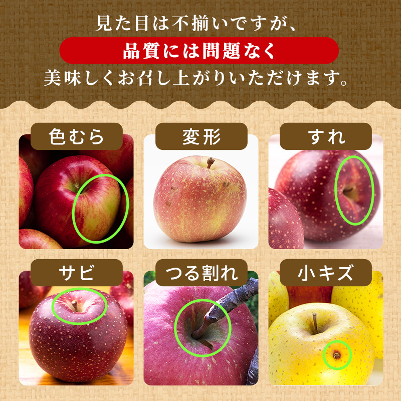 りんご【11月～2月発送】糖度13度以上 訳あり品 家庭用 ぐんま名月 約3kg【青森りんご】