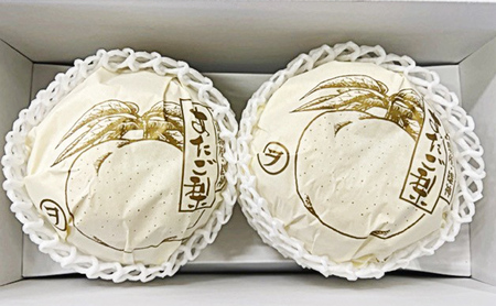梨 2026年 先行予約 あたご梨 2玉（約1.7kg） 化粧箱入り  岡山県産 梨
