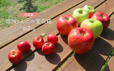 りんご 園主におまかせ 詰合せ 計約2kg（5~8玉）りんごの宝石箱|りんご