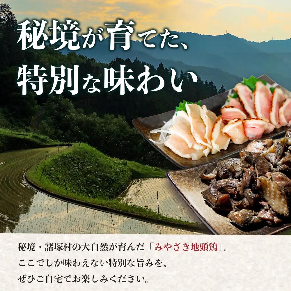 みやざき地頭鶏 炭火焼3P・たたき2P セット タレ付き 冷凍｜鶏肉 地鶏 炭火焼 鶏たたき 備長炭 焼き鳥 晩酌 おかず 惣菜 ムネ肉 モモ肉 郷土料理 じとっこ 興洋開発株式会社 宮崎県 諸塚村 