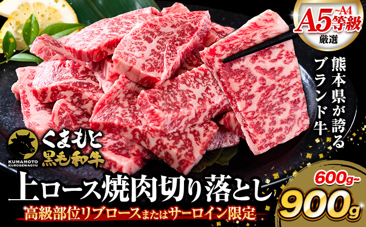 
                  A4～A5等級 黒毛和牛 切り落とし 上 ロース 焼肉 切り落とし 選べる 600g 900g《7-14日以内に出荷予定(土日祝除く)》くまもと黒毛和牛 熊本県 菊池市 上ロース 焼肉用 黒毛和牛 焼肉 肉 お肉 和牛 A5 A4 300g 小分け
                
