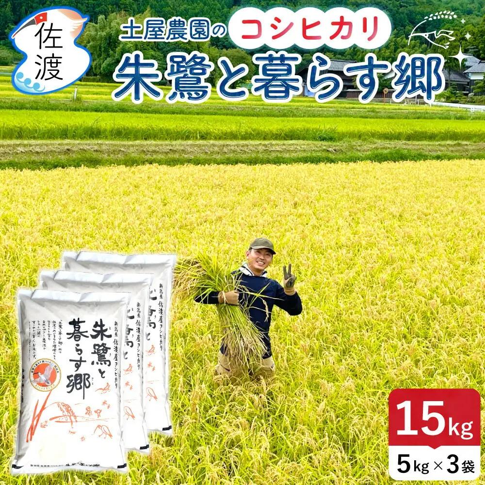 コシヒカリ 令和7年 無洗米 15kg お米 コシヒカリ | 朱鷺と暮らす郷 新潟県 佐渡市 195962-0125