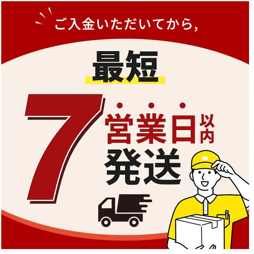 アクエリアス 2L 定期便3ヶ月 スポーツ コカ・コーラ 