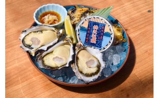 牡蠣 Lサイズ 30個 シングルシード オイスター 的矢牡蠣 天然 的矢かき かき カキ 三重県 伊勢 志摩 佐藤養殖場 的矢 まとや 生食用 生食 殻付き 新鮮 いせ しま 濃厚 おすすめ 直送 濃厚 クリーミー 天然 殻付き 海鮮 魚貝 魚貝類 国産 養殖 冷蔵