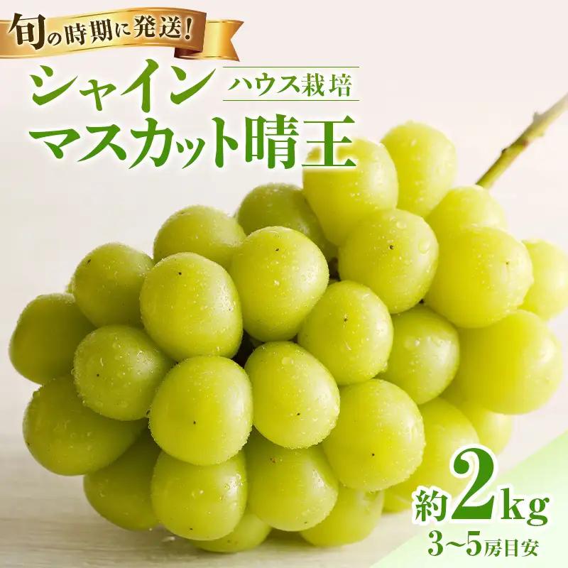 シャインマスカット 晴王 ハウス栽培 岡山県産 シャインマスカット【約2kg 3～5房】【先行予約】