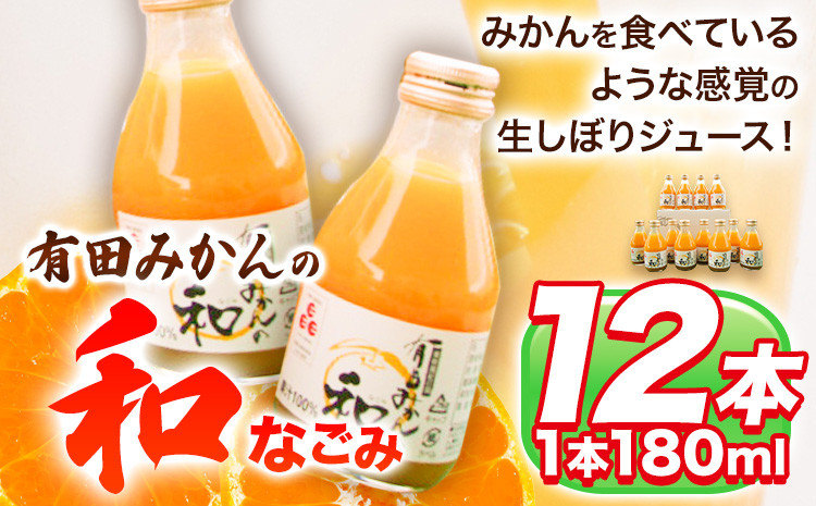 
                  有田みかんの和 なごみ 180ml×12本入 果樹園紀の国株式会社《90日以内に出荷予定(土日祝除く)》 和歌山県 日高町 オレンジジュース みかんジュース 有田みかん100%使用 柑橘【配送不可地域あり】
                