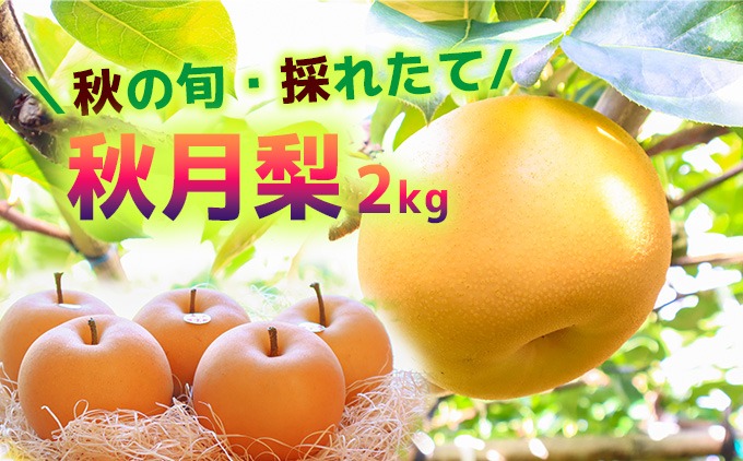 【2025年収穫】森本果樹園の秋月梨 2㎏