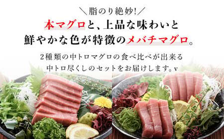 豪華!中トロセット!マグロ 中トロセット(本マグロ600g+メバチマグロ600g) MBT003