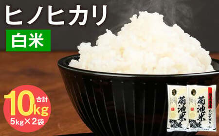 熊本県菊池産 ヒノヒカリ 5kg×2袋 計10kg 精米 お米 白米 令和6年産《30日以内に出荷予定(土日祝除く)》