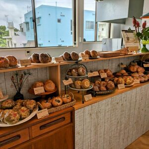 当店おススメ！人気ベーグル10点 お任せセット ベーグル詰め合わせ お取り寄せ 冷凍 パン セット 沖縄市 / Pinebook Bagel+[BCBI002]