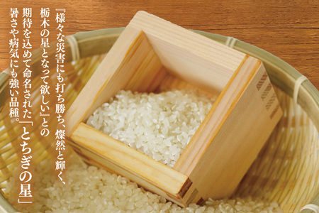AU023　山﨑観光農園のお米　とちぎの星　白米6kg　精米　ごはん　米