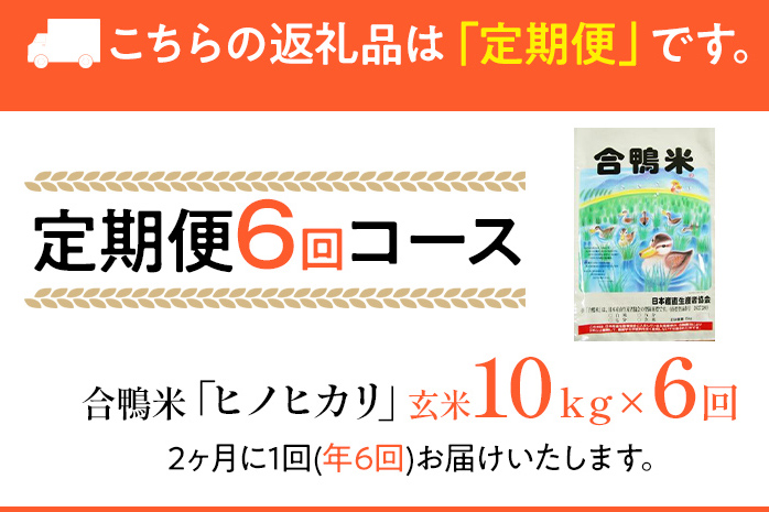 令和7年産 新米予約 合鴨米「ヒノヒカリ」（玄米・10kg）定期便6回コース　BI05　※2025年10月より順次出荷予定(隔月発送予定)