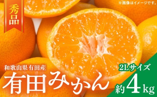 
                  【2026年先行予約】【秀品】和歌山有田みかん約4kg(2Lサイズ)_ZD7008
                