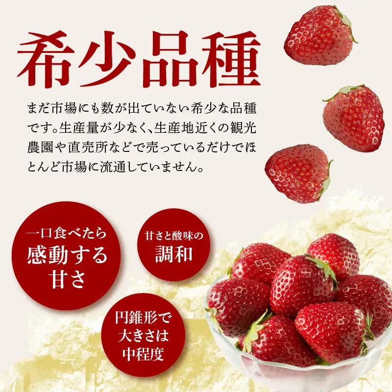 玄海町産いちご 真紅の美鈴 1箱 ／ いちご【A063】