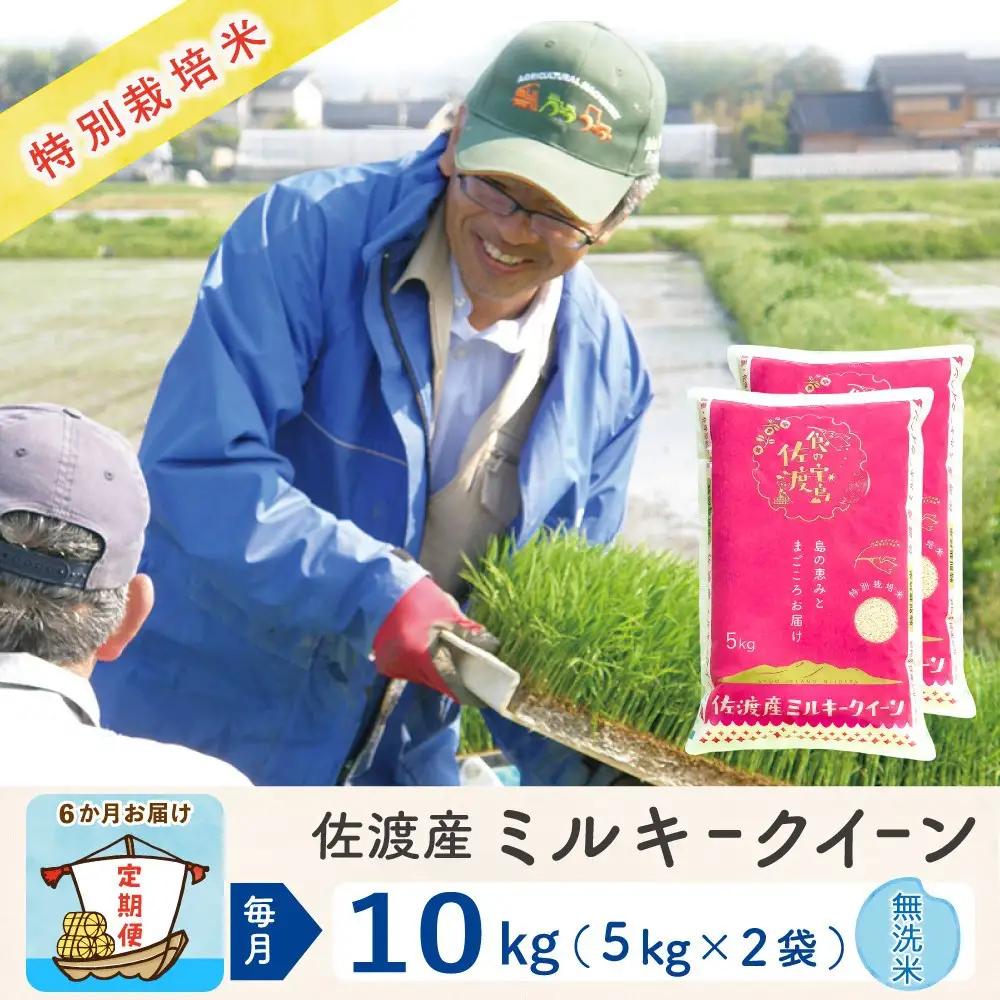 【定期便 新米 10kg 6回】 無洗米 令和8年 計 60キロ | 新潟県 佐渡市 ミルキークイーン 195962-4324