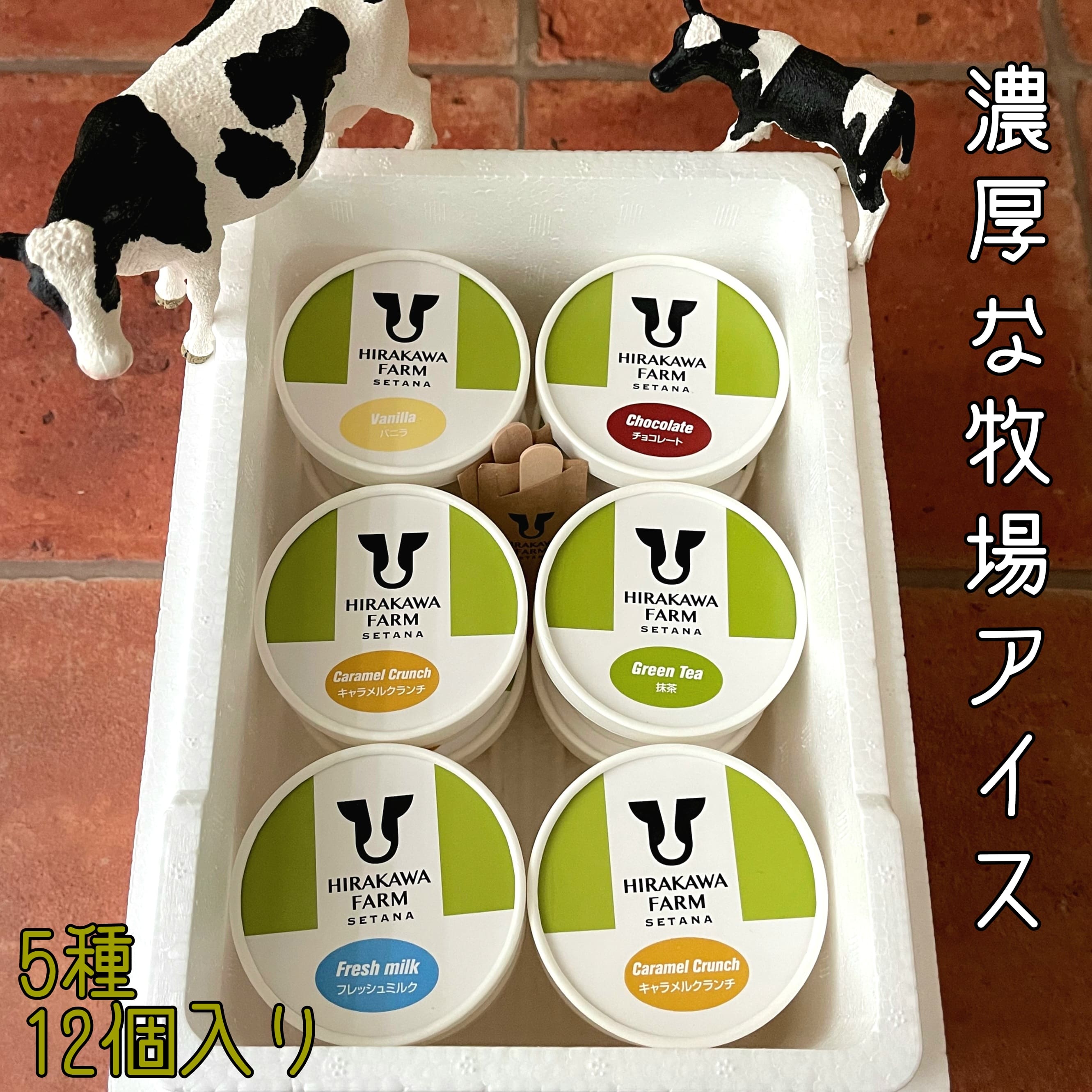 【ふるさと納税】【北海道産 搾りたて生乳使用】ひらかわ牧場 アイスクリーム 定番の5種12個セット フレッシュミルク バニラ チョコ キャラメルクランチ 抹茶 デザート スイーツ お取り寄せ ギフト せたな町