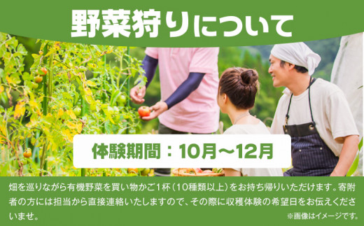 野菜狩りチケット 10月-12月 株式会社えか自然農場《30日以内に出荷予定(土日祝除く)》収穫 体験 野菜 やさい チケット 流山市 st-p