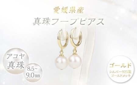 真珠 フープピアス 8.5～9.0mm 大珠 ゴールド パール アクセサリー （858）
