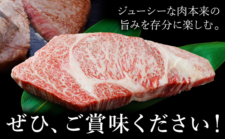 くまもと黒毛和牛・リブロース約500g《60日以内に出荷予定(土日祝除く)》