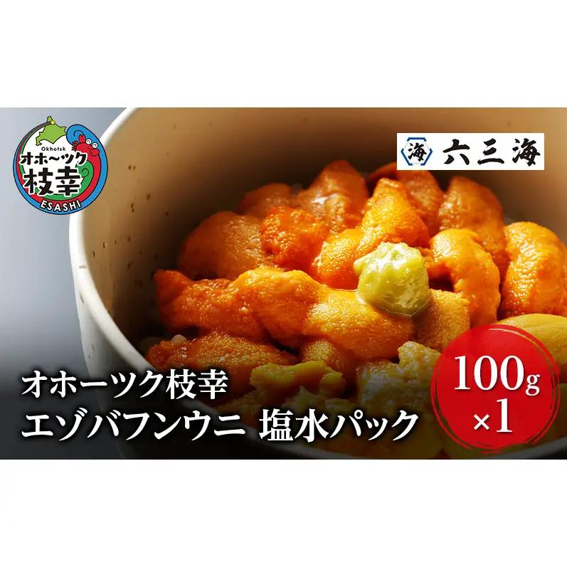 うに エゾバフンウニ 塩水パック ミョウバン不使用 オホーツク枝幸 うに【100g】