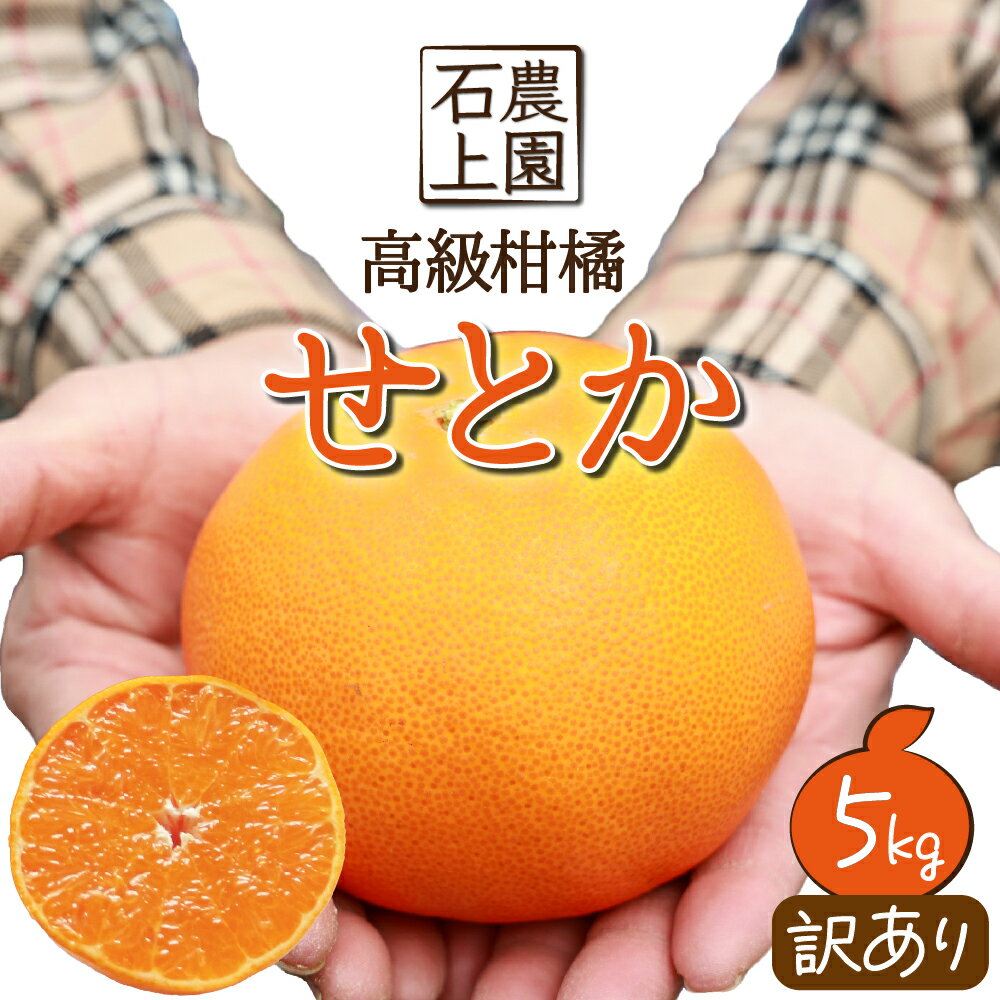 【ふるさと納税】＜先行予約受付中！2026年2月中旬から順次発送＞数量限定！串間市都井「石上農園」わけあり せとか(約5kg 16〜20玉) みかん ミカン 蜜柑 フルーツ 果物 訳あり【石上農園】【KU430】