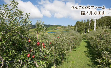 りんごふたいろ 12個入（りんごのお菓子詰め合わせ）
