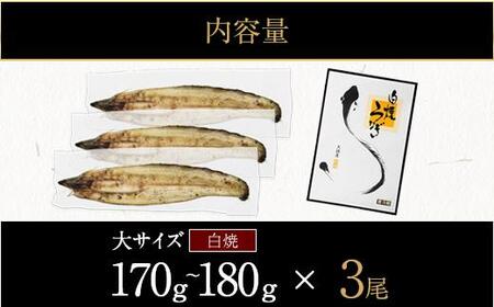 鹿児島県大隅産 千歳鰻の白焼鰻「大」3尾