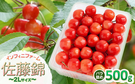 【令和8年産先行予約】 インフィニファームのさくらんぼ「佐藤錦」バラ詰め 500g （2Ｌサイズ）　K-848
