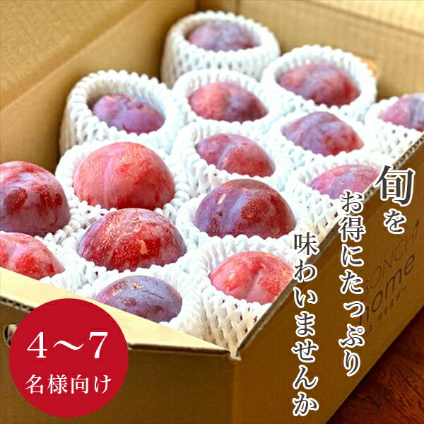 【ふるさと納税】 5-102 ＜先行予約2024年＞山梨県産 ご家庭用貴陽 約3kg ふるさと納税 おすすめ 山梨県 南アルプス市 送料無料 ALPAL014