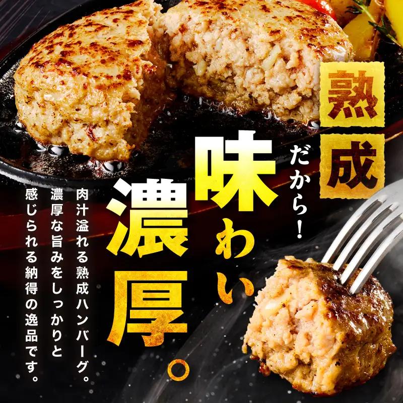 【無添加】食べ応え抜群！ 生ハンバーグ 200g 10個【ふるさと納税3.0】【087D-091】