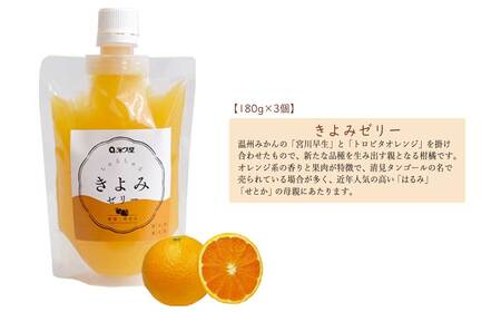 フルーツゼリー ちゅるちゅるゼリー 柑橘 3種 合計6個 セット みかん きよみ せとか 柑橘王国愛媛 永久堂