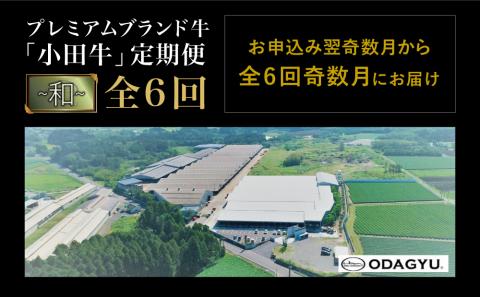 【全6回】プレミアムブランド和牛「小田牛」定期便 （～和～） 鹿児島県産黒毛和牛